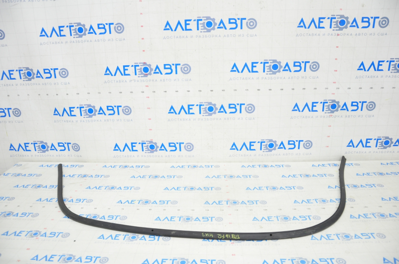 Door Seal Lower Front Right Tesla Model X 16-21