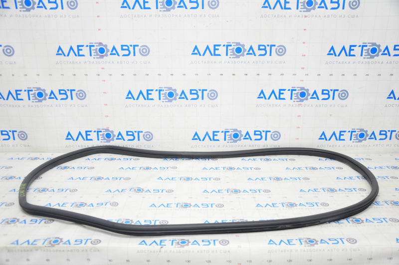 Door seal rear right Honda Clarity 18-21 usa