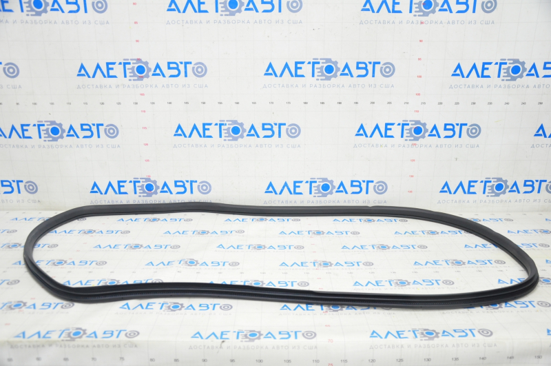 Door seal rear right Honda Clarity 18-21 usa