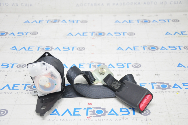 Rear center seat belt Honda Clarity 18-21 usa black