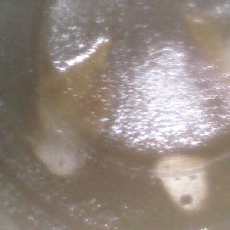 Audi Q5 80A 18-20 2.0T DJYA 15k engine, water damage, emulsion, did not start 10.5-10.5-10.5-10.5