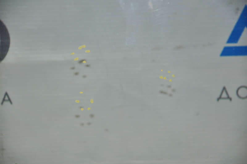 Windshield Nissan Rogue 14-18 sand, bumps, air on the edge, scratches