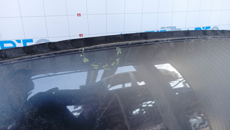 Roof metal Ford Mustang mk6 15- coupe, sawn off, butts