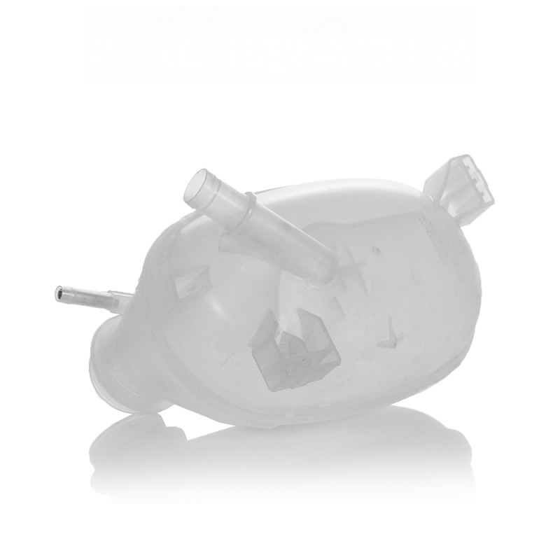 Expansion tank cooling Ford Escape MK3 17-19 rest 2.5, 2.0T, 1.5T