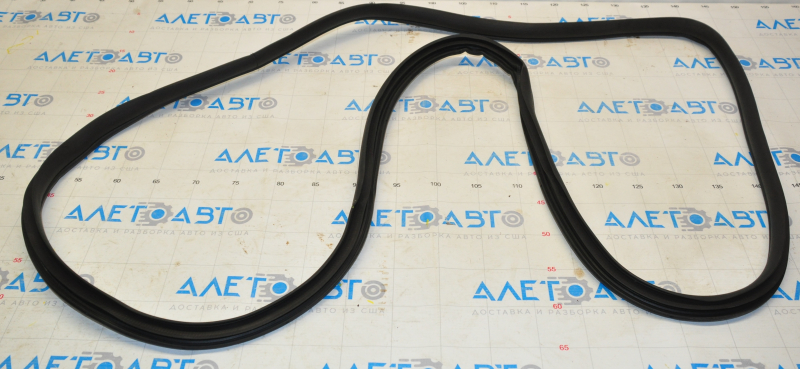 Door seal rear right Hyundai Sonata 15-19 torn