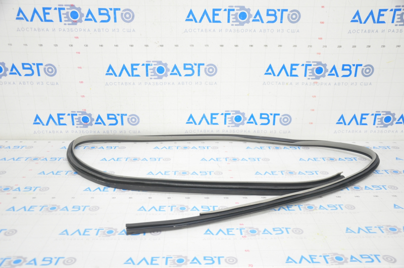 Toyota Camry v40 rear right door seal, gray