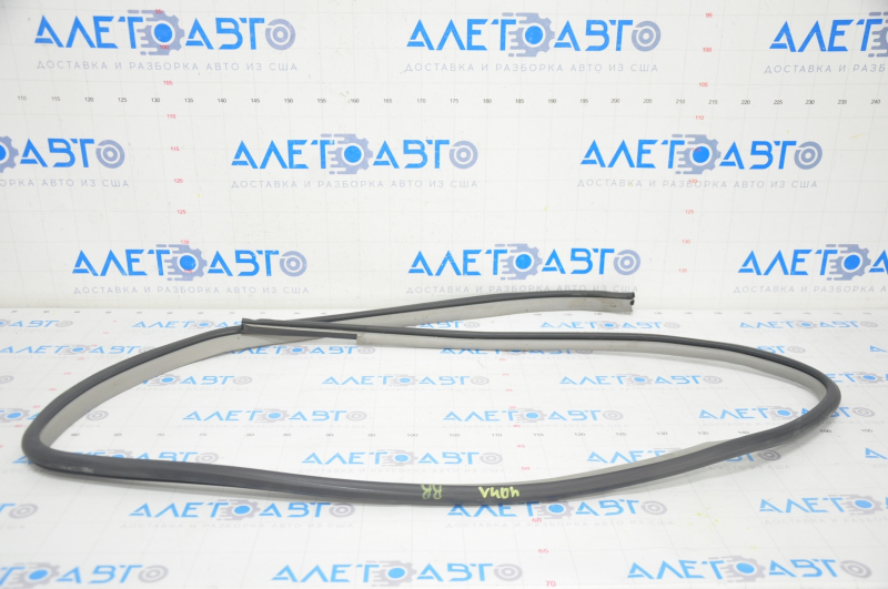Toyota Camry v40 rear right door seal, gray