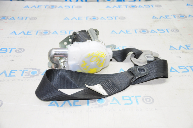 Passenger seat belt Toyota Prius V 12-14 black, shot, for dry cleaning