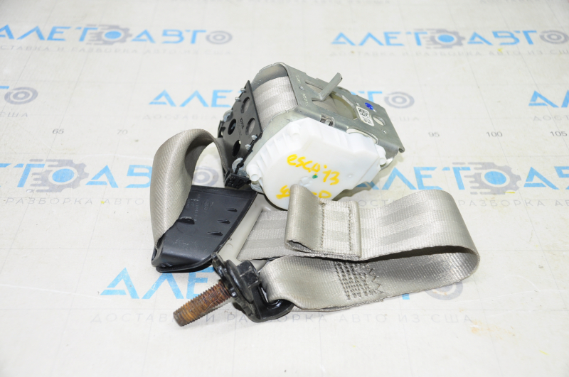 Rear center seat belt Ford Escape MK3 13-19 gray, dry cleanable