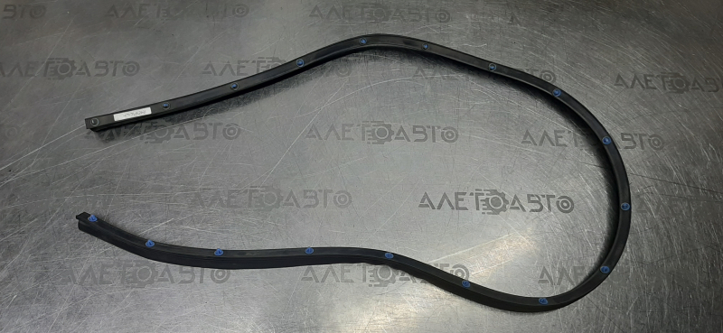 Door seal rear right VW Passat b8 16-19 USA lower