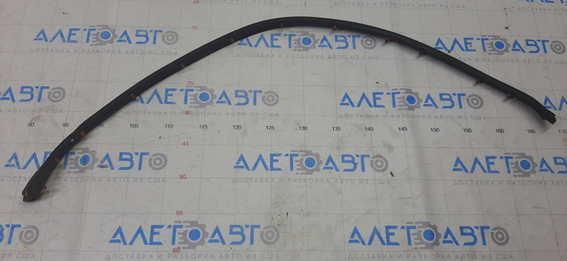 Chevrolet Malibu 13-15 rear left door seal lower