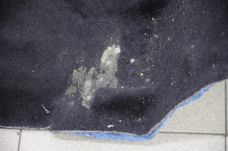 Floor covering rear Ford Fusion mk5 13-20 black, for cleaning