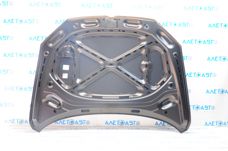 Naked hood VW Passat b7 12-15 USA