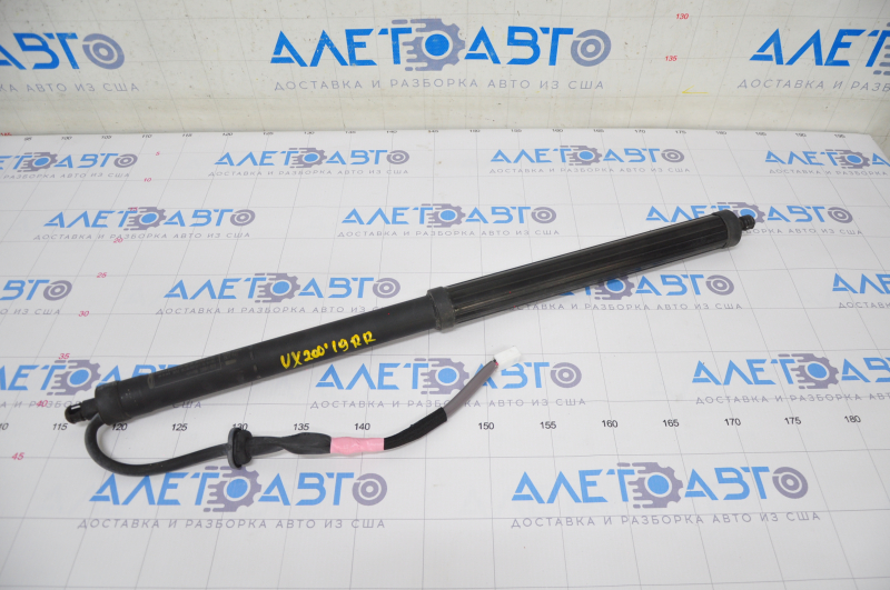 Trunk door shock absorber right Lexus UX200 UX250h 19- electric