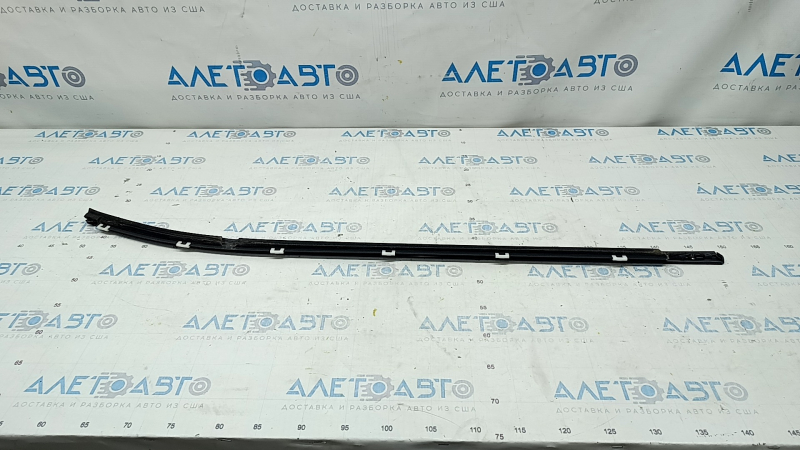 Molding door-glass central rear left Hyundai Elantra AD 17-18 black, micro-cracks