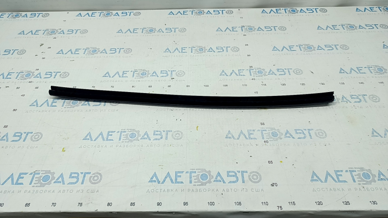Glass seal inside rear left door Hyundai Santa FE Sport 13-18