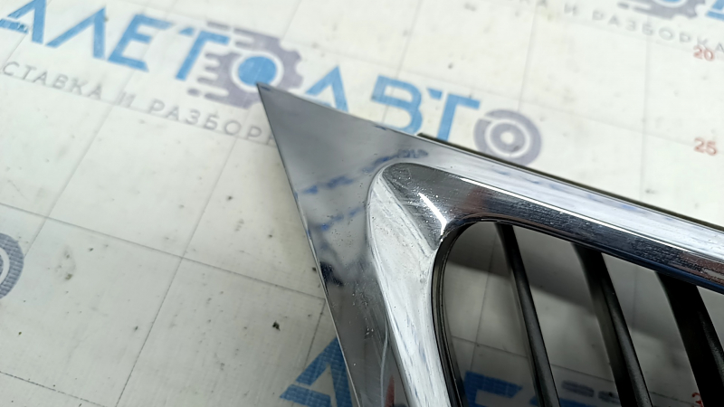 Radiator grill grill Lexus IS250 IS300 IS350 11-13 with emblem, sand