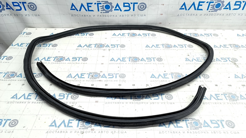 Rear right door seal for Lexus IS250 IS300 IS350 06-14