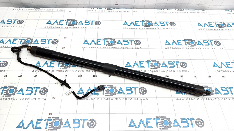 Shock absorber trunk door right VW Touareg 13-15 electric