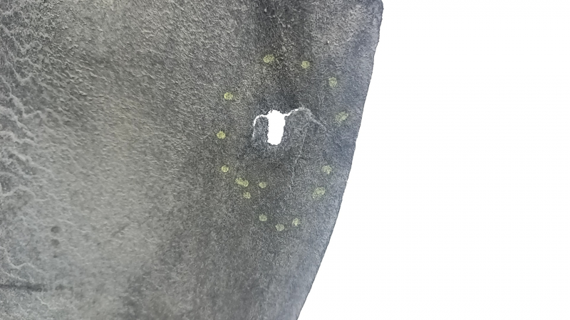 Rear left fender liner Toyota Prius 50 Prime 17-22 tears