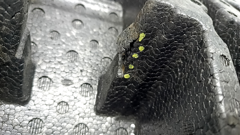 Foam under the tool Jeep Grand Cherokee WK2 11-21 is crushed