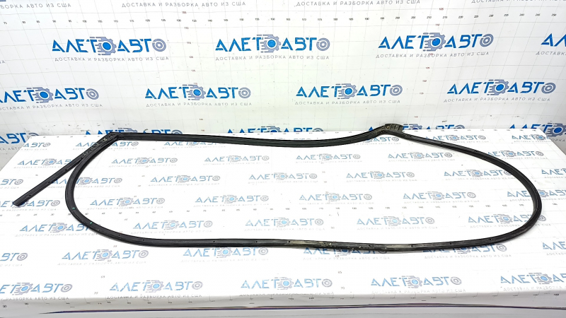 The rear left door seal of Hyundai Elantra AD 17-20 is torn