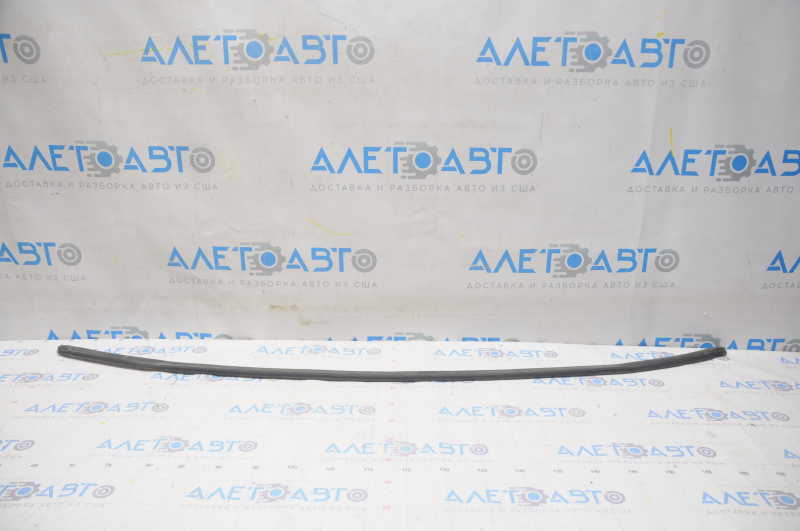 Lexus GS300 GS350 GS430 GS450h 06-11 Hood Seal on Bumper
