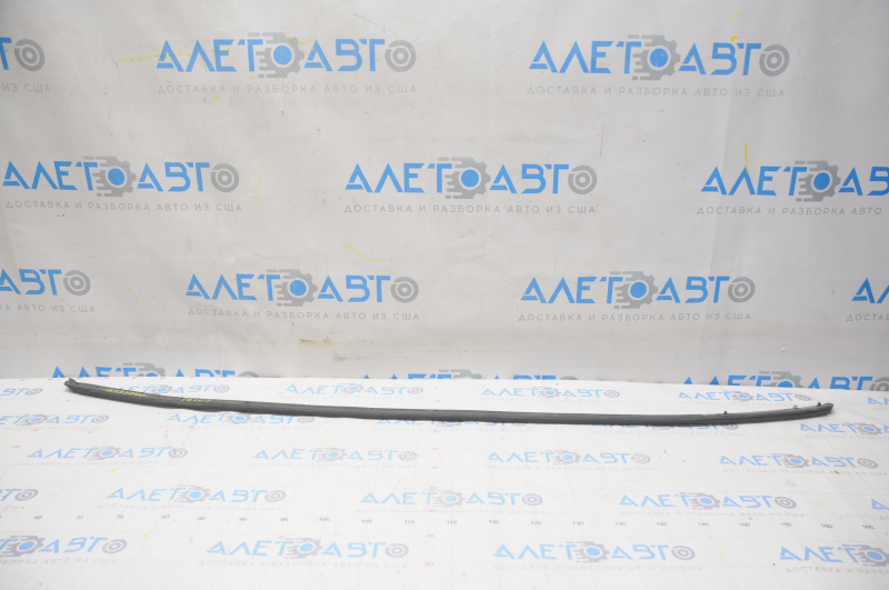 Lexus GS300 GS350 GS430 GS450h 06-11 Hood Seal on Bumper