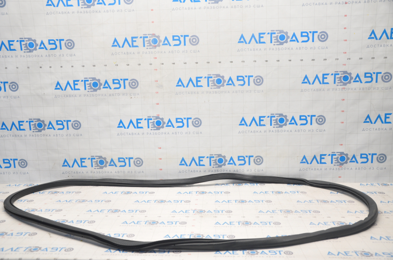 Ford Fusion mk5 13-20 rear right door seal