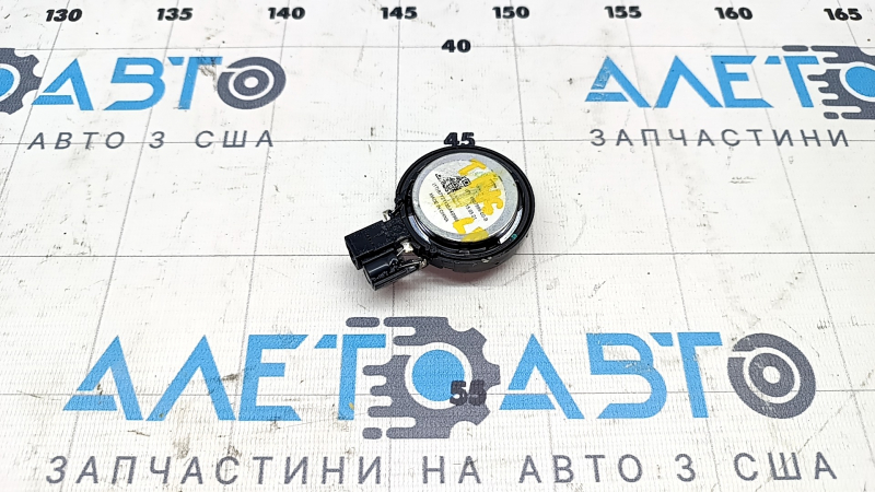 Tesla Model S 21- Rear Left Door Buzzer