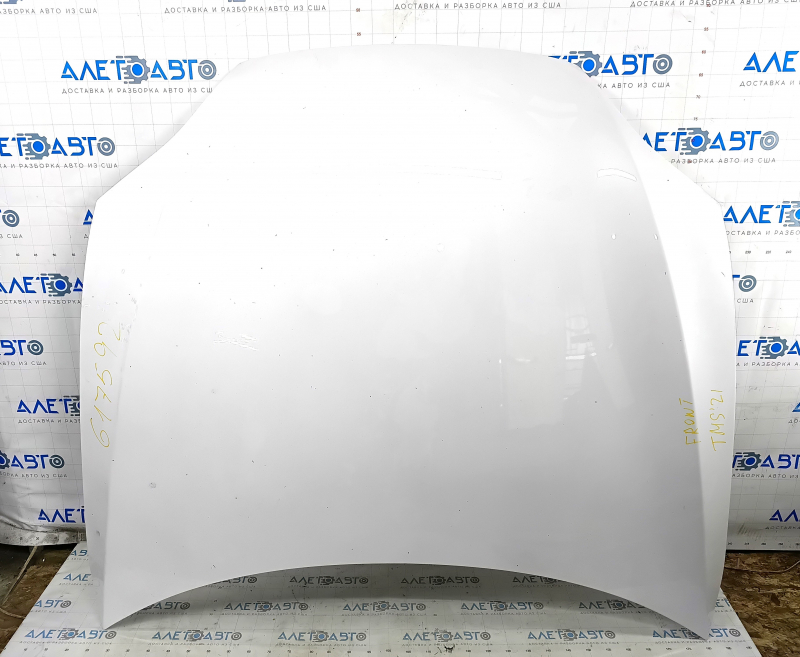 Tesla Model S 21 Naked Hood - White PPSW, Aluminum