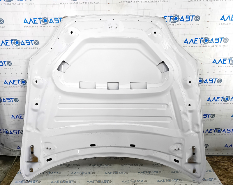 Tesla Model S 21 Naked Hood - White PPSW, Aluminum