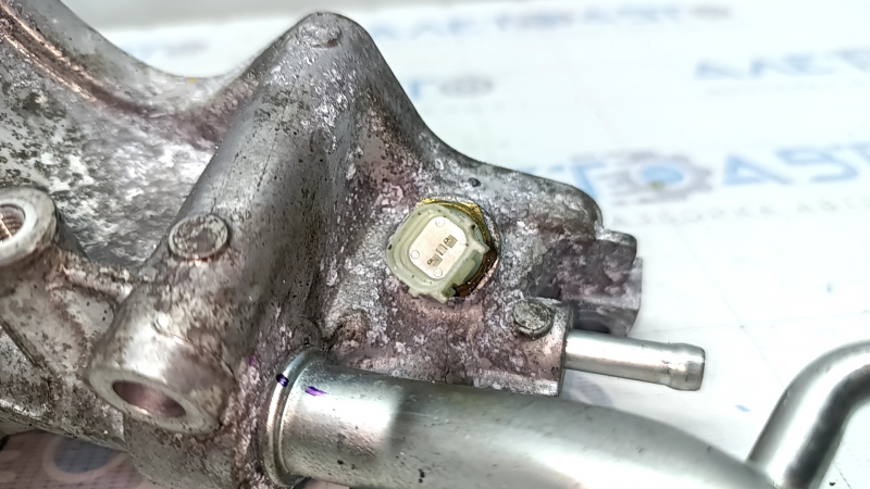 Thermostat housing Honda CRV 23- 1.5T