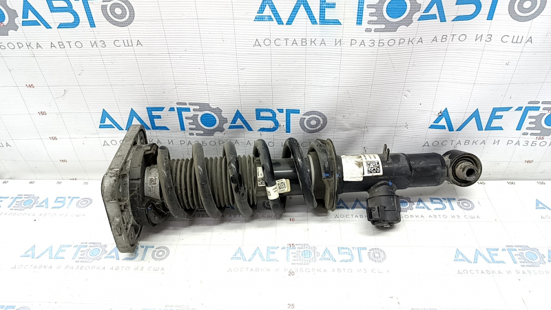 Shock absorber strut assembly rear right BMW X5 G05 19-23 electric