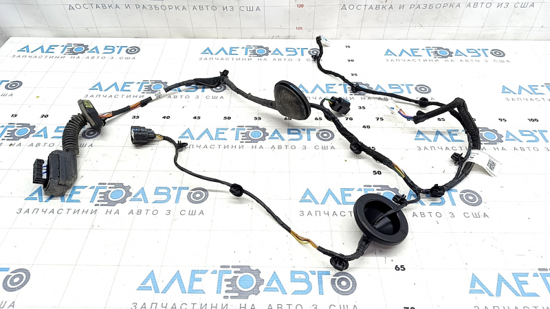 Rear left door wiring Hyundai Elantra 21-23