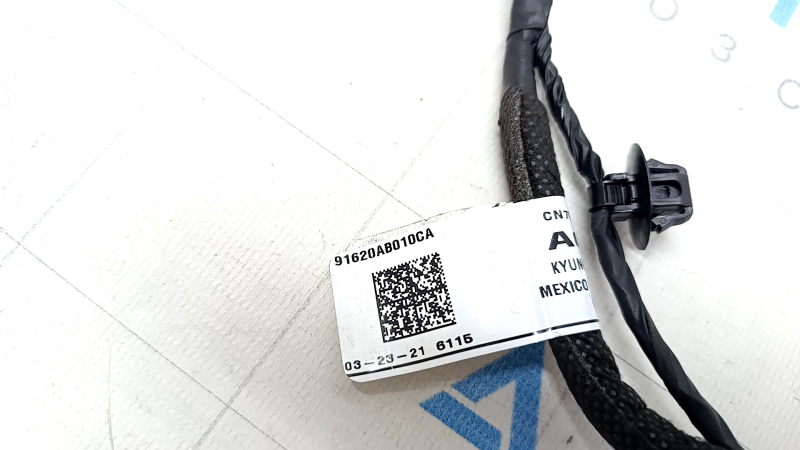 Rear left door wiring Hyundai Elantra 21-23