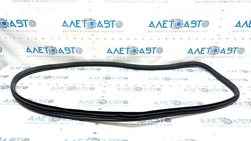 Door seal rear left Hyundai Elantra 21-23