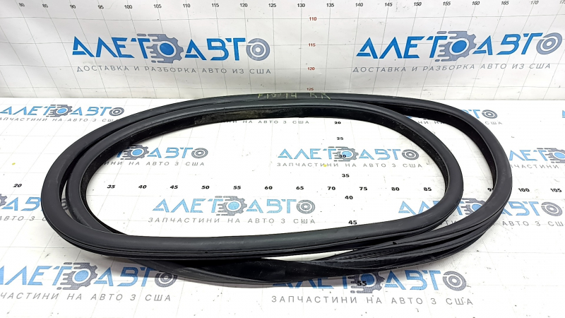Door seal rear right BMW 5 F10 11-16 tear