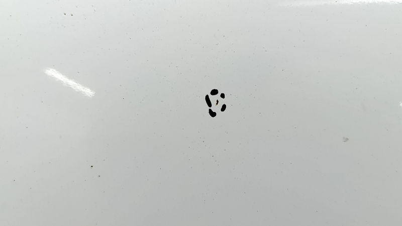 Hood bare Honda HR-V 16-22 steel, white NH-788P, corrosion, scratches, sand