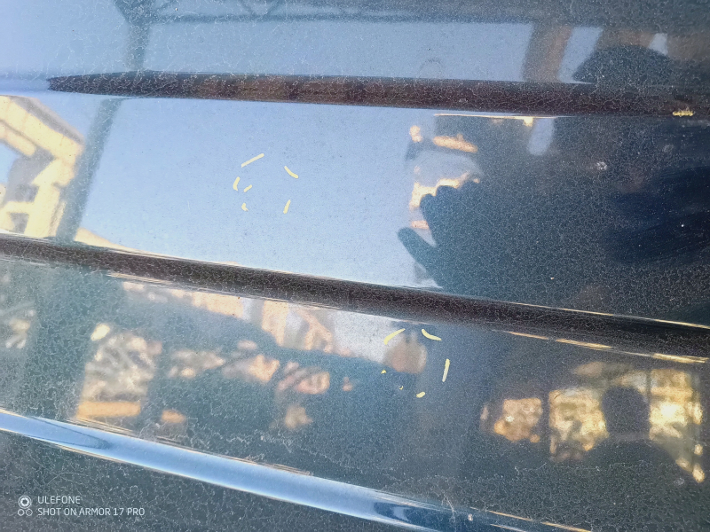 Metal roof VW Tiguan 18 - without sunroof, sawed off, painted, pokes