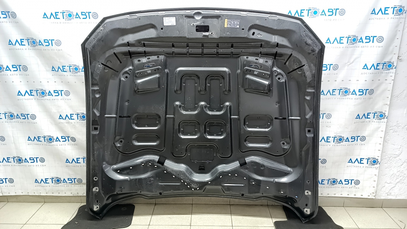 Naked hood Ford Mustang mk6 18-rest for air ducts, graphite J7