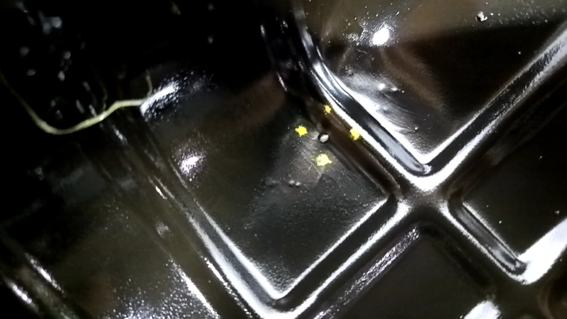 Oil pan Nissan Murano z52 15 - rusty, bumps, scratches