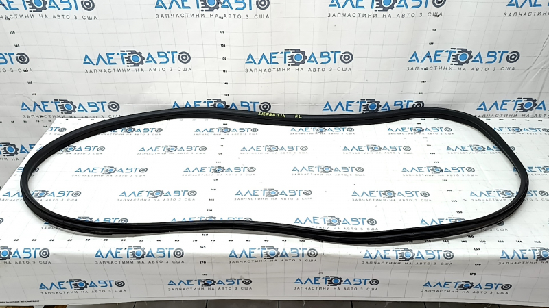 Door seal rear left Toyota Sienna 21-25