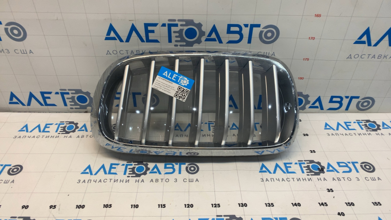 Radiator grill nostril left BMW X5 F15 14-18 Pure Experience TW