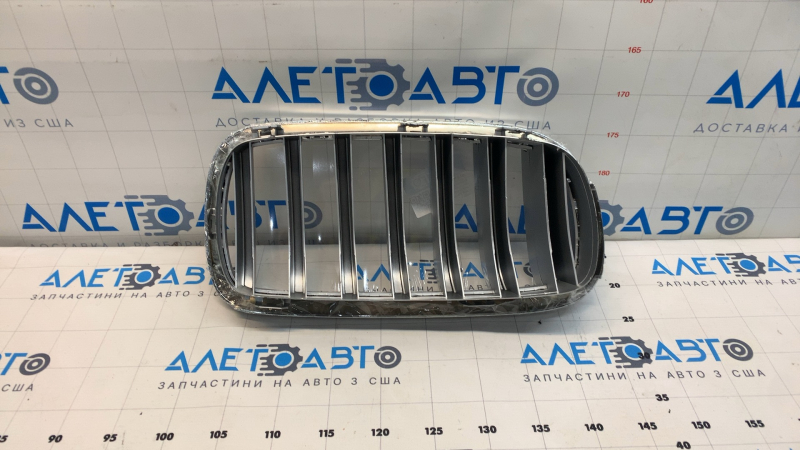 Radiator grill nostril left BMW X5 F15 14-18 Pure Experience TW