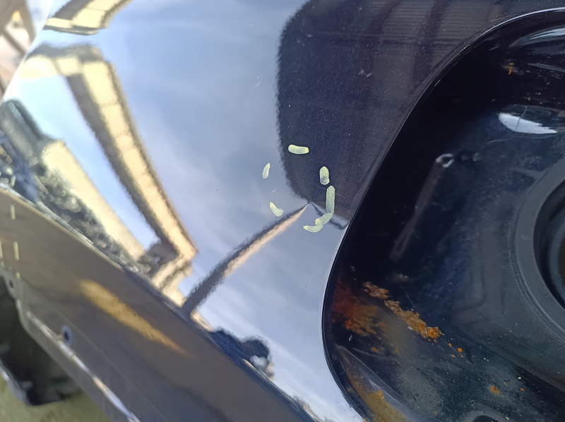 Quarter wing rear left Toyota Highlander 20- under BSM, black, on the body, bumps