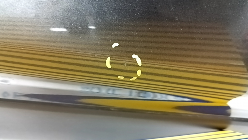 Front right door assembly for Ford Escape MK3 13-19 graphite J7, dents, scratches on the trim