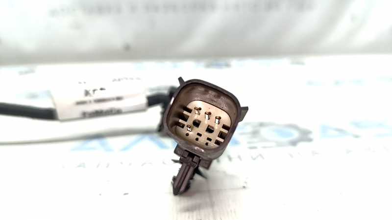 Ford Bronco Sport 2021-25 Windscreen Washer Reservoir Wiring