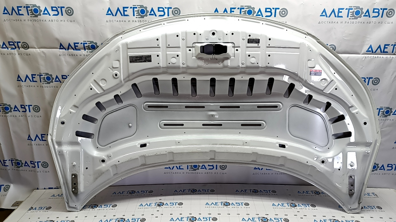 Nissan Ariya 23-25 white XGA aluminum hood