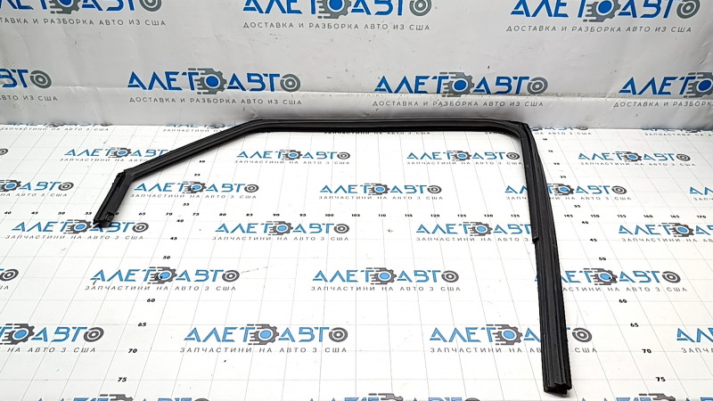 Rear left door glass seal Hyundai Ioniq 5 22-24